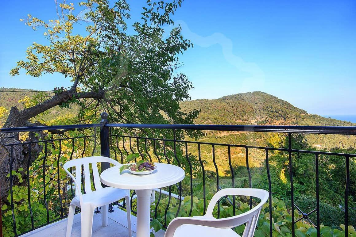 Zeus Guesthouse باناجيا المظهر الخارجي الصورة